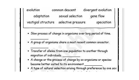 evolution worksheet 8th grade