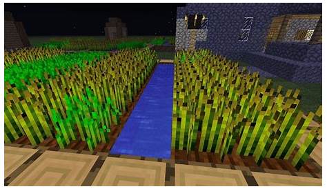 How to plant wheat in Minecraft 1.19 update
