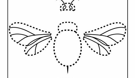 parts of a bee worksheets