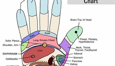 Hand reflexology chart! #reflexology #hand #chart #geckomassage #