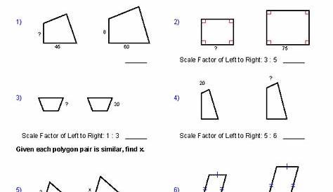 similar polygons and triangles worksheet