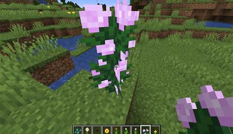 how many flowers are in minecraft 1.19