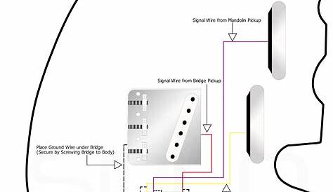 SOLO Double Neck TC Mandolin Style Wiring Diagram | Solo Guitars