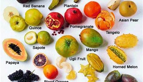 Fresho Brand Fruits Hybrid Mix Seeds | ubicaciondepersonas.cdmx.gob.mx