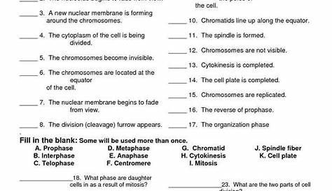 Cell Reproduction Review Worksheet - worksheet
