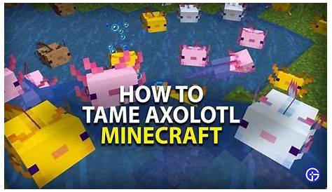 how to breed axolotl minecraft