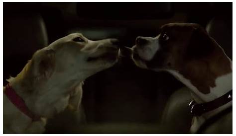 Subaru TV Spot, 'Dog Tested: Teenagers' - iSpot.tv