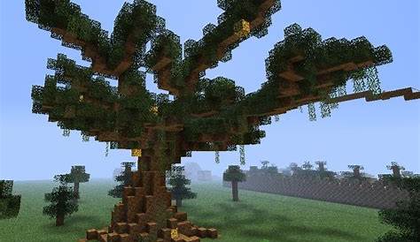 giant tree schematic minecraft