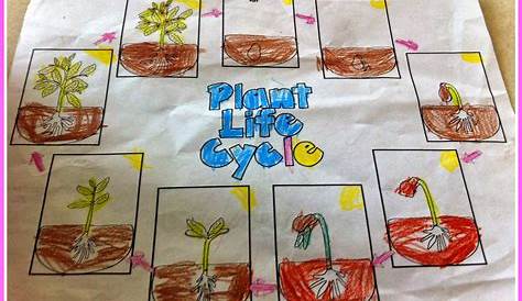 Herding Kats in Kindergarten: Plant Life Cycle Unit