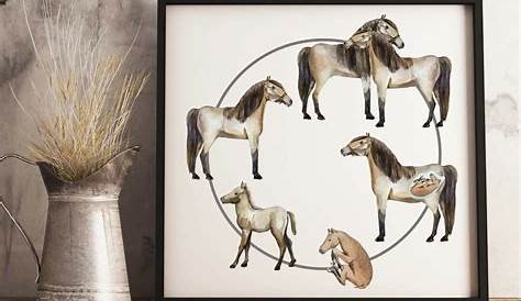 life cycle of a horse diagram