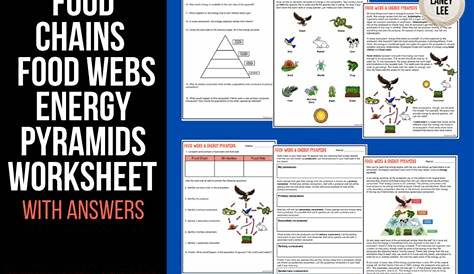 food webs and food chains worksheet answer key