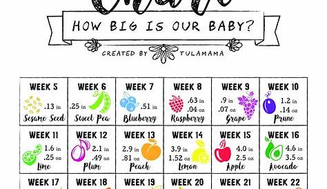 Fetal Growth Chart - How Big Is My Baby - Tulamama