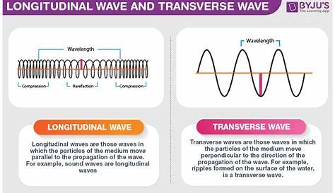 transverse and longitudinal waves lesson plan