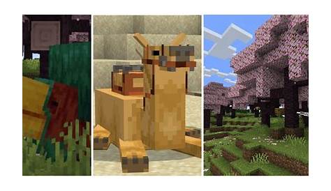 Everything Added In Minecraft's Trails & Tales Update