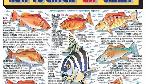 wisconsin fish identification chart