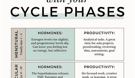 Productivity Tips for your Menstrual Cycle - Thyme Is Honey