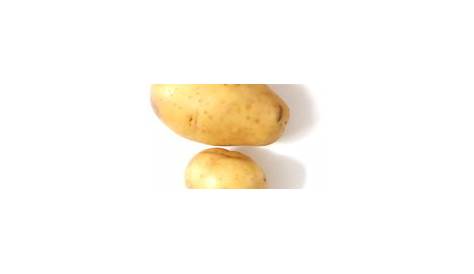 yukon potato size chart