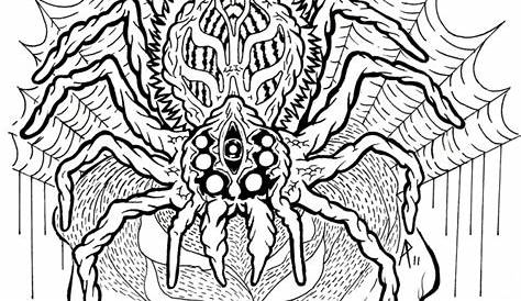 Spider Coloring Pages Photos – Animal Place
