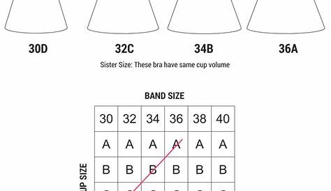 Bra Sister Sizes Chart | Sister Cup Sizes Chart |Sisterhood Bra - Clovia