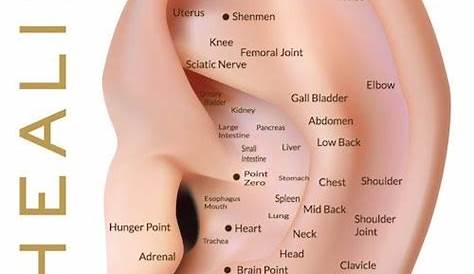 weight loss printable ear seed placement chart
