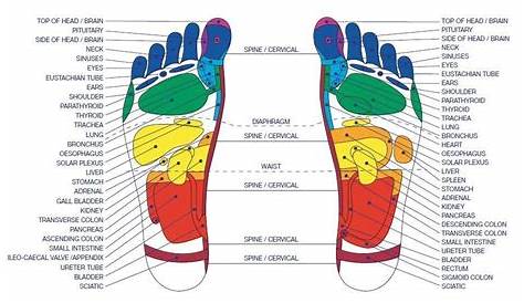 inside foot pain chart