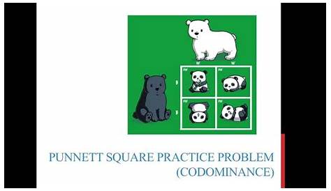 Punnett square practice problems (codominance) - YouTube
