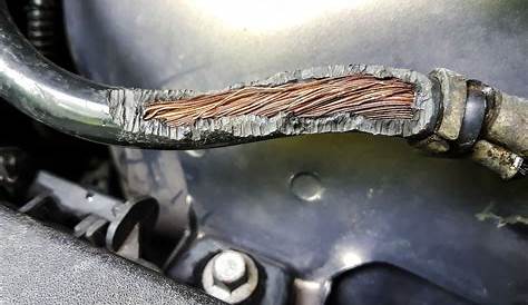 How To Stop Rodents From Chewing Car Wires