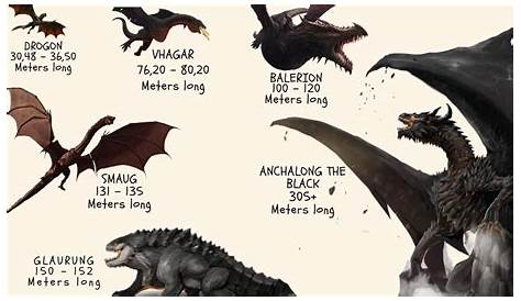 got dragon size chart
