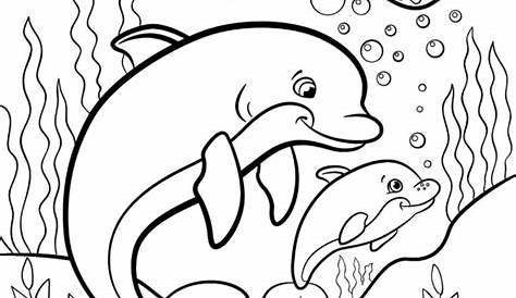 Free DOLPHIN Coloring Pages Your Kids Will Love (Download (Printable