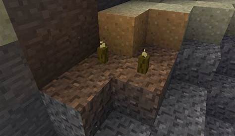 where to find sea pickles in minecraft