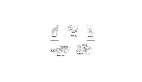 Animals In Spanish Worksheet – Printable worksheets are a valuable