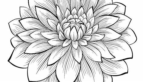printable lotus flower mandala coloring pages