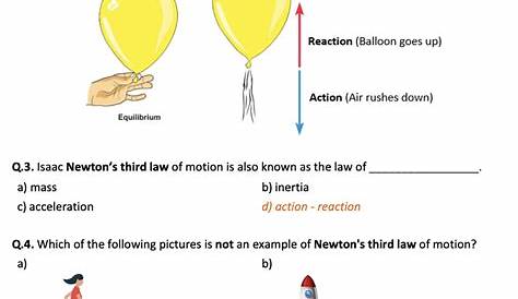 Newton's Third Law of Motion - Worksheet | Printable and Distance