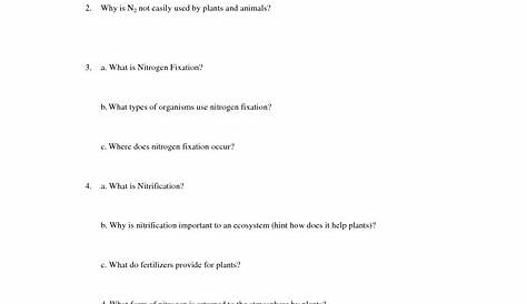 nitrogen cycle worksheet answers