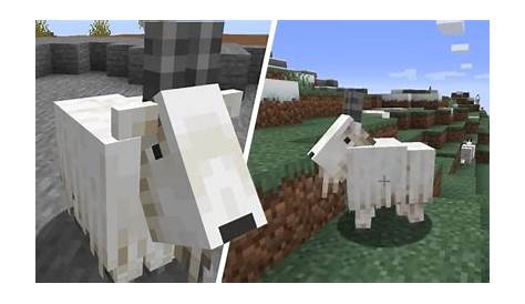 Minecraft what do you know about Goat? - Minecraft Plot