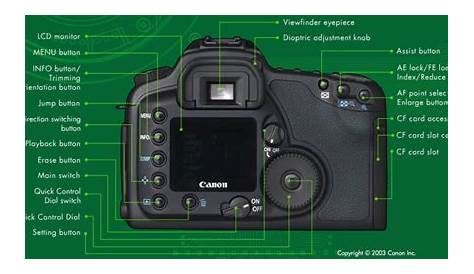 canon 10d manual