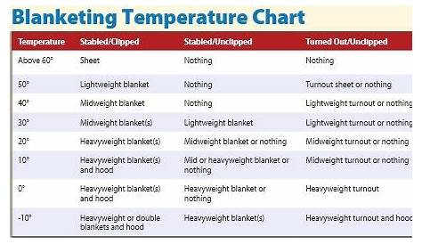 horse riding temperature chart