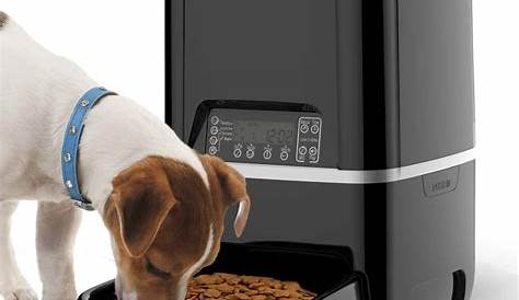 pet feeder automatic food