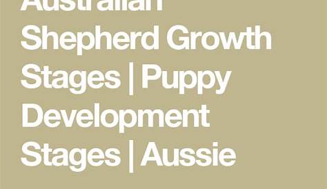 Australian Shepherd Growth Chart | French Bulldog