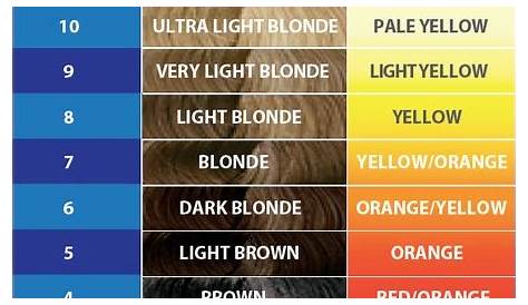 Bleach Hair Color Chart - Home Design Ideas