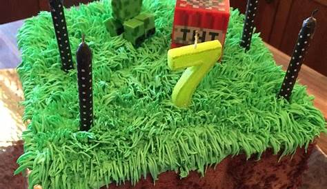 Minecraft ice cream cake for my sons birthday [Homemade] | Homemade