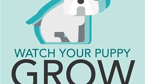 Use A Puppy Growth Chart To Determine Size | Puppy growth chart