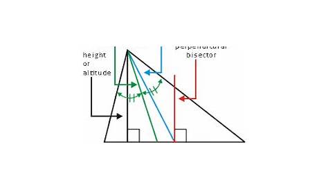 segments in triangles worksheet