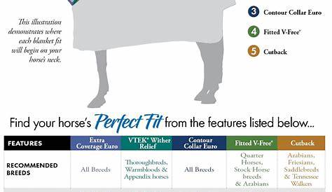 Which Blanket Fit is Right for My Horse? - Schneider's Learning Center