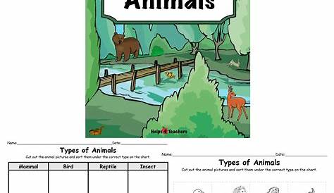 mammal worksheet for kindergarten