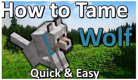 How to Tame a Wolf Minecraft | Quick & Easy! - YouTube