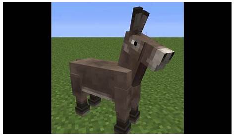 where to find donkeys in minecraft