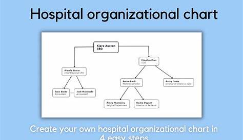 How to Create Your Hospital Organizational Chart in 4 Easy Steps?