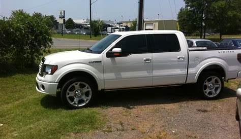 ford f150 front window tint