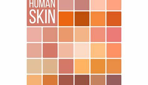 human skin tones chart
